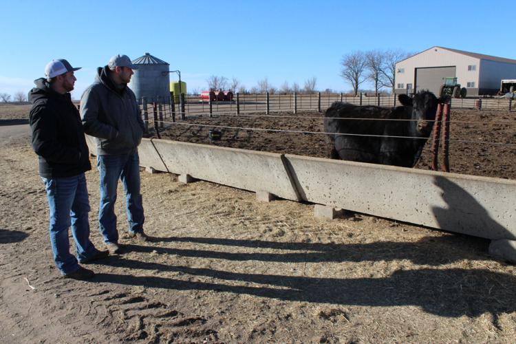 LZ Livestock (8).JPG