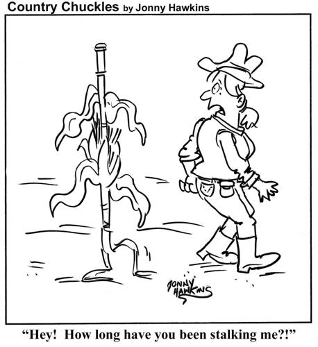 Country Chuckles by Jonny Hawkins