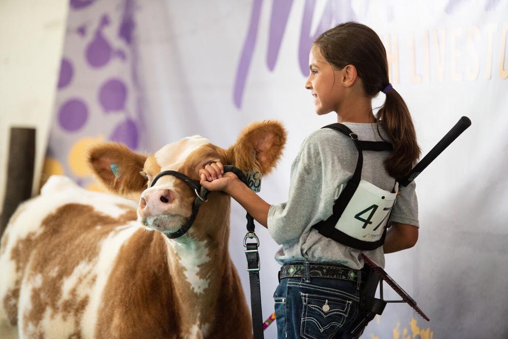 Minnesota Youth Livestock Expo returns for second year
