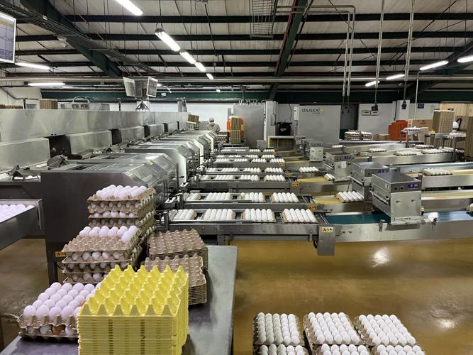 Faulkton Central America 2.JPG