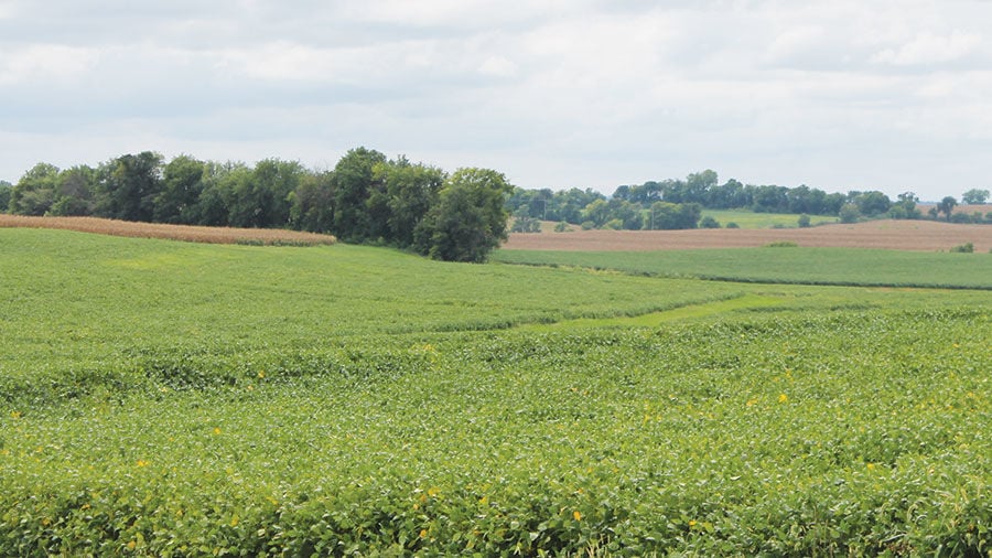 Variety of factors cause shifts in Missouri cropland acres