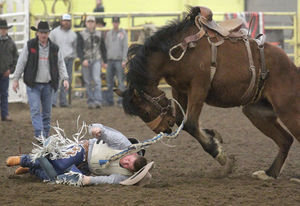 The 39th Annual CSI Intercollegiate Rodeo Starts Tonight March 6