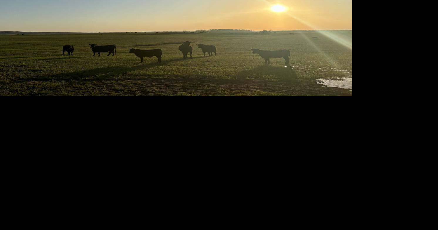 Sandhills Sunrise 3.jpeg