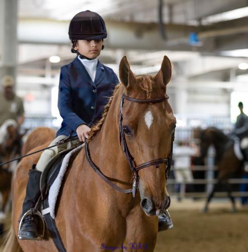 1 jf triton v ten sheri savig.jpg