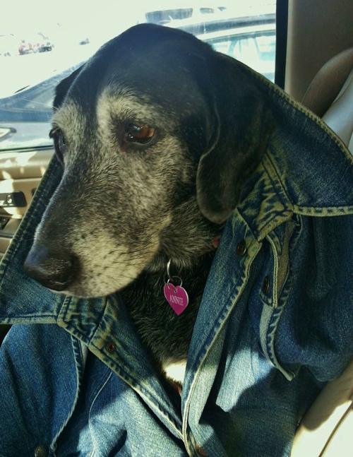 Annie Girl