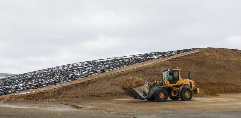 Dairy feed pile
