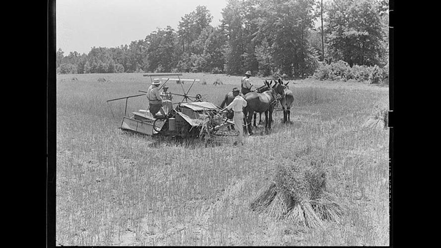 Aerial-photos-ground-2