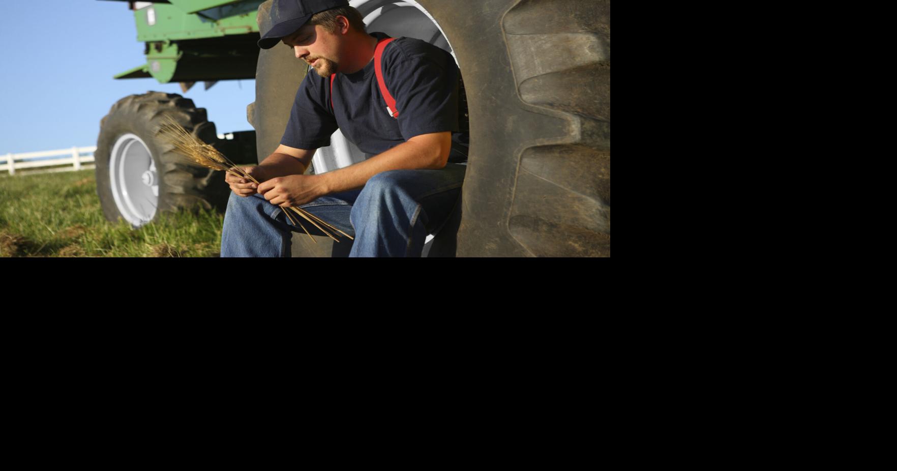 Farmer sitting in tractor wheel with wheat in hands