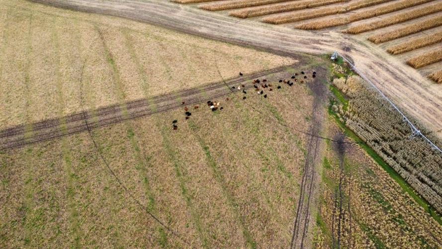 Outside the box 6.jpg