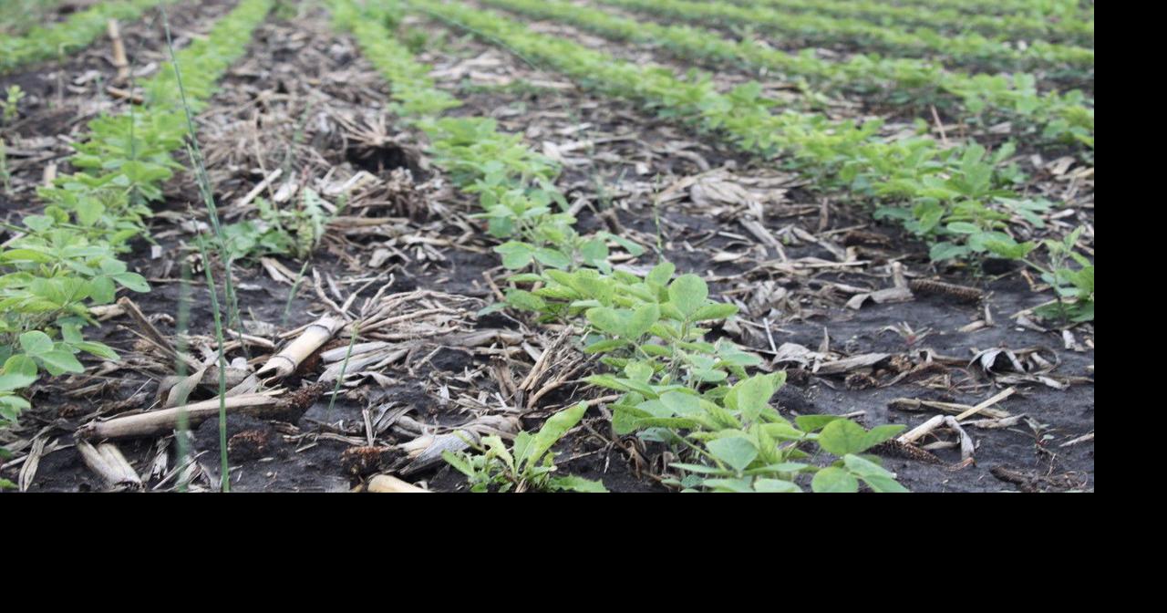 New soybean inoculant seed lubricant hits the market