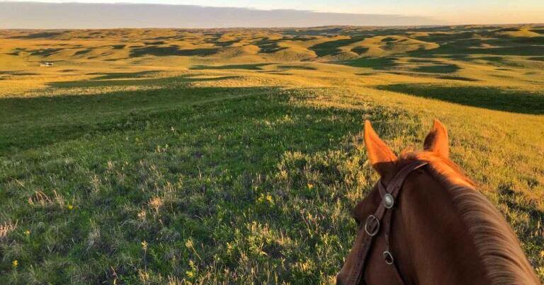 Sandhills ranch with ‘Dumbbell’ name and rich past sells to locals ...
