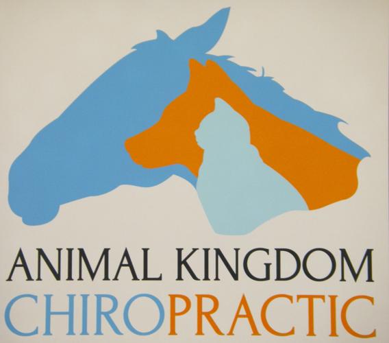 Animal Kingdom Chiropractic sign