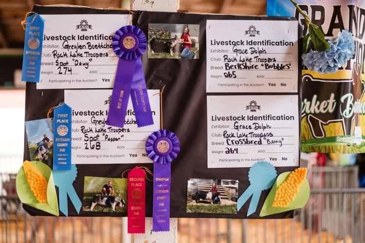 Jefferson County Fair