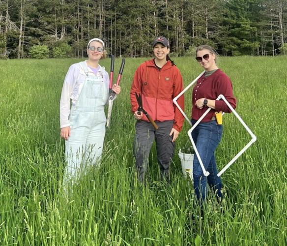 Research students in field