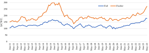 Cattle market update 3.png