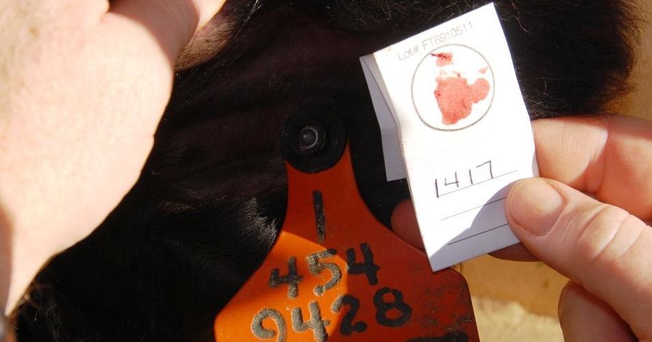 Simplify genetic testing sample collection, submission