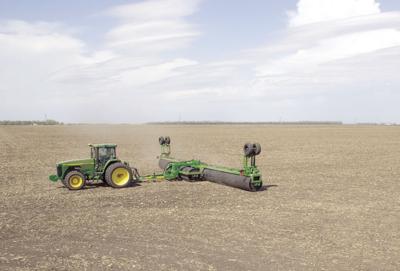 Rolling soybeans