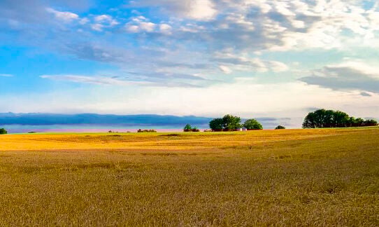 Cropland and sky