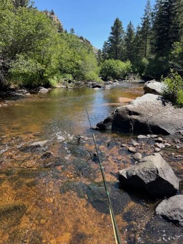 Hunting access (9) RU CO.jpeg