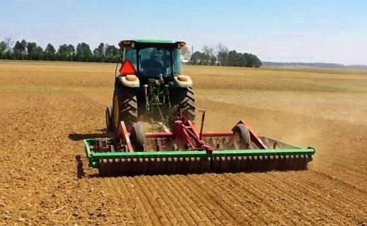Planting in field