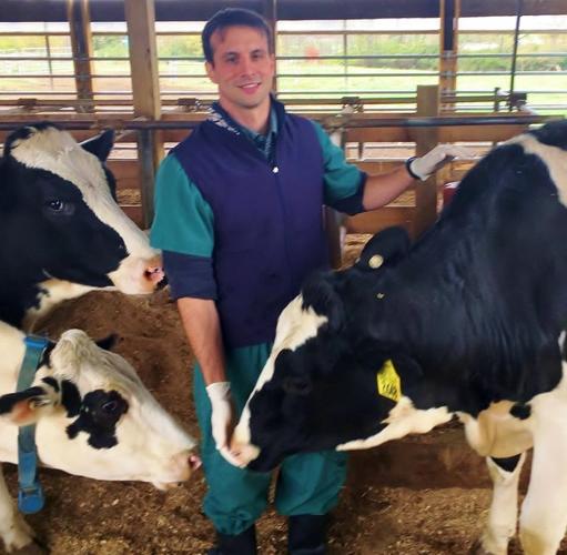 Adrian Barragan with cows
