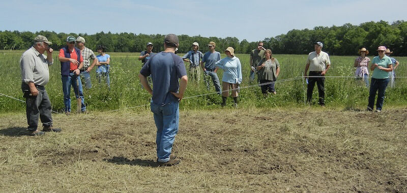 Producers in field
