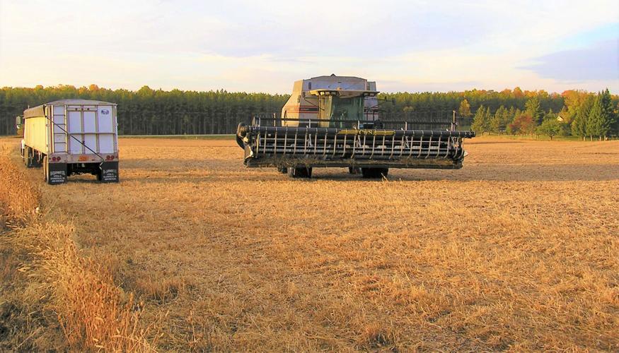 Field