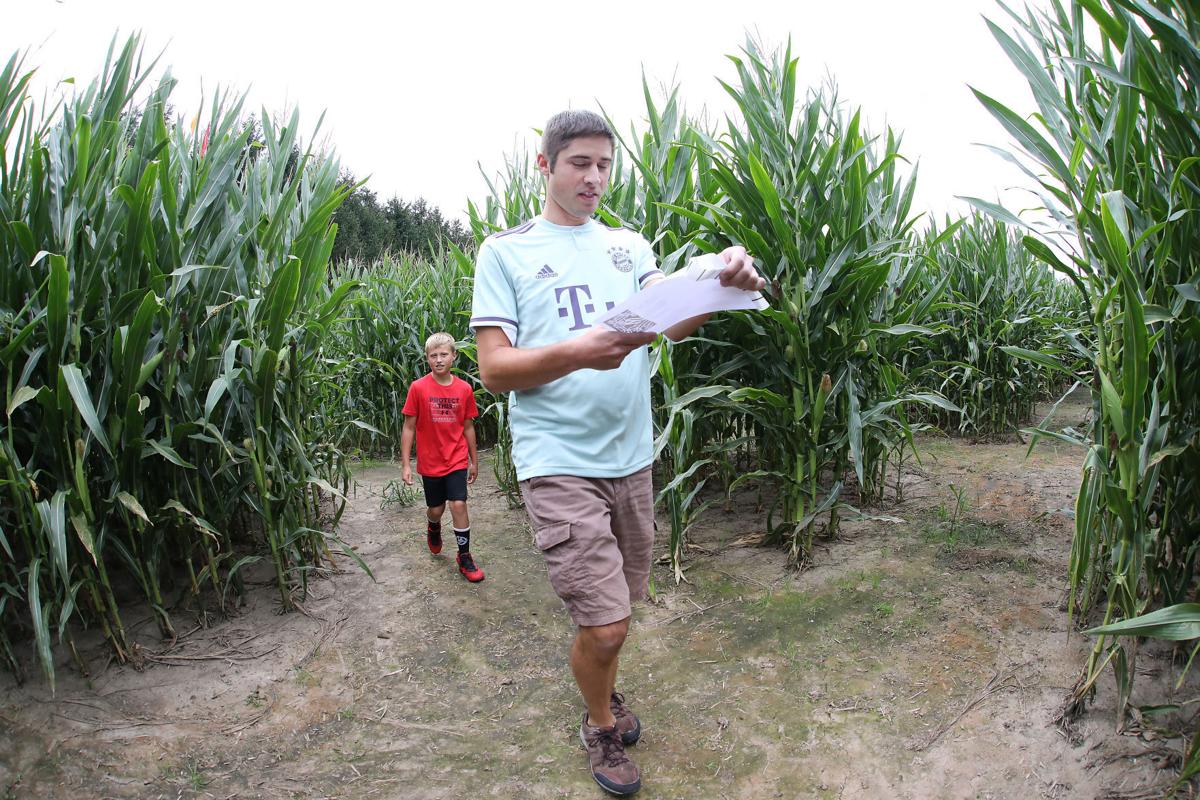 Treinen Corn Maze