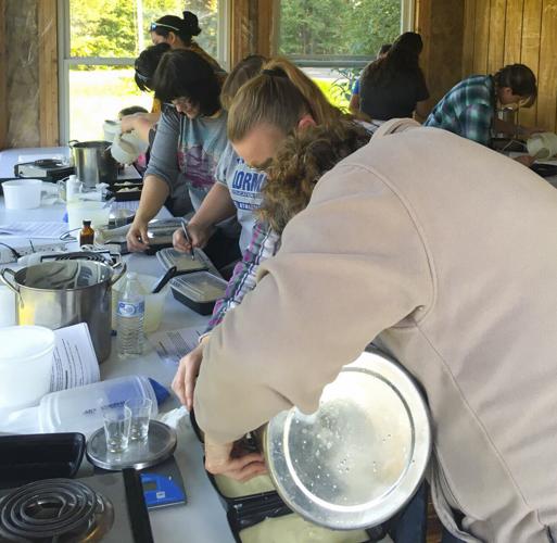 Sheep-milk soapmaking class