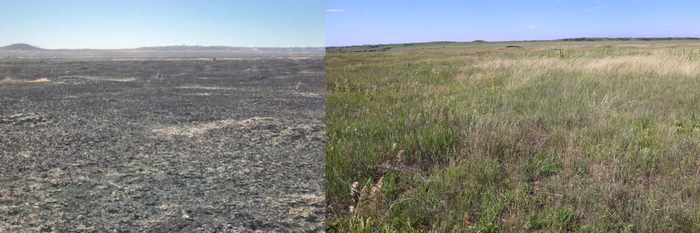 Power Dam Fire 5.png