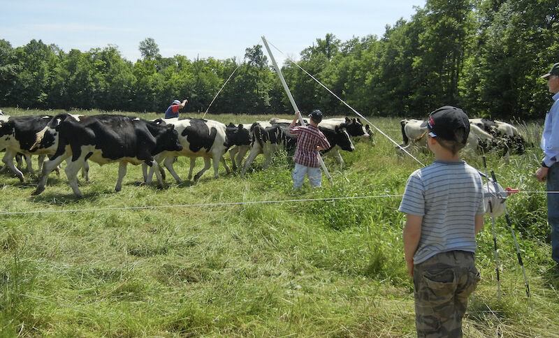 Family in field