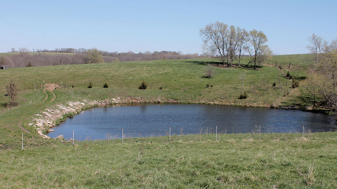 farm pond