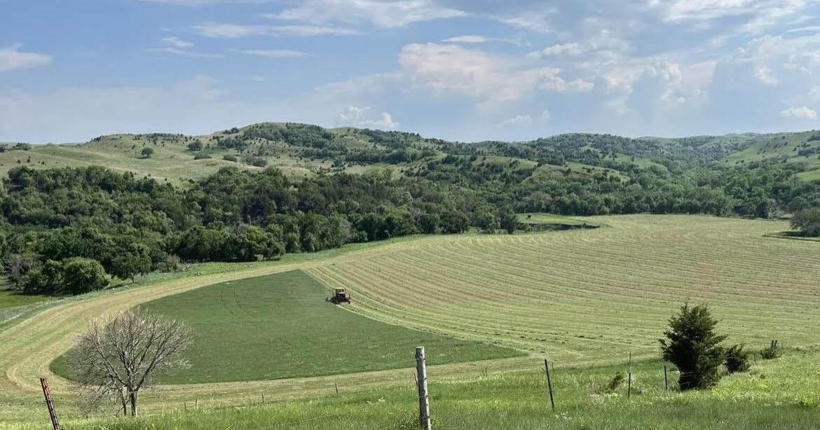 Rain restores hopes, crops in southern South Dakota - Vimarsana News