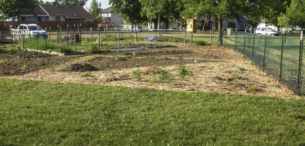 Garden plot