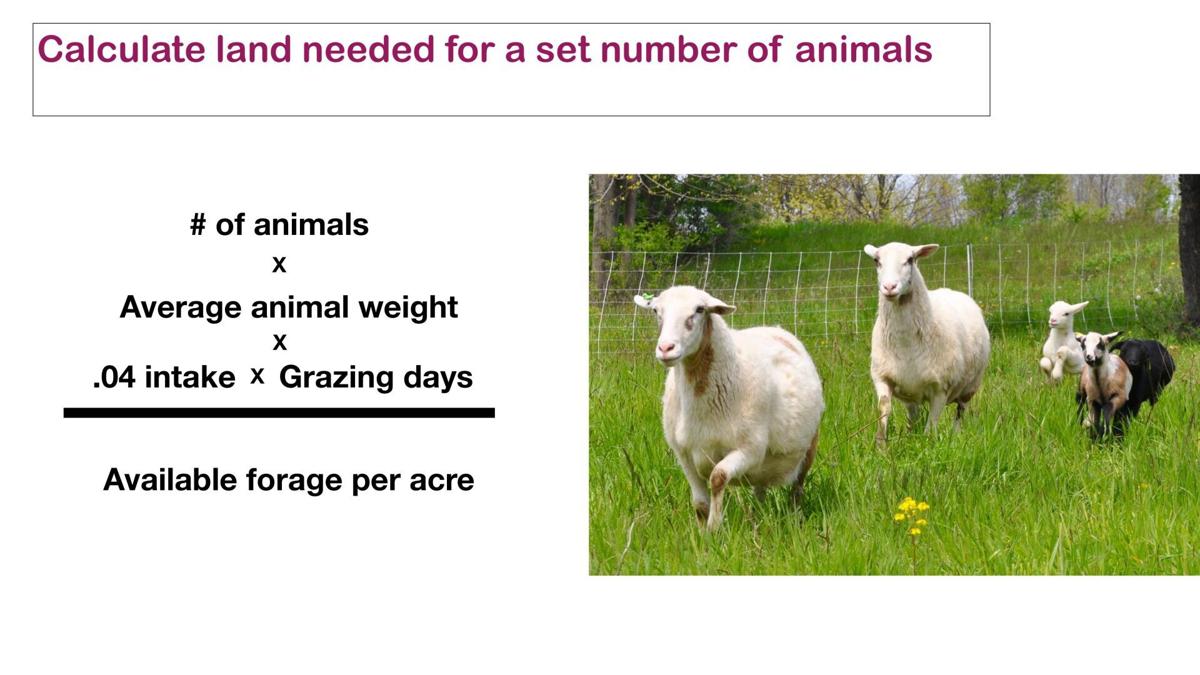 Calculate land needed for set number of animals, example