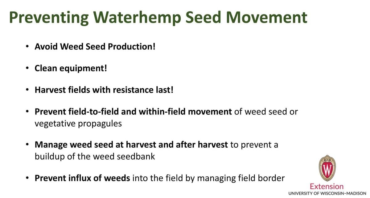 Preventing Waterhemp Seed Movement