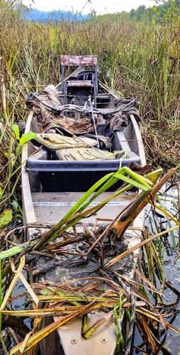Canoe