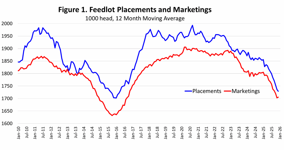 Figure 1. Feedlot Placements and Marketings