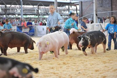 World Pork Expo showing