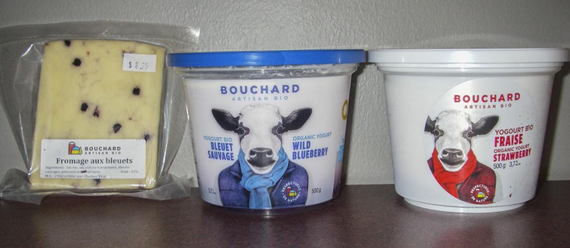 Cheese and yogurt