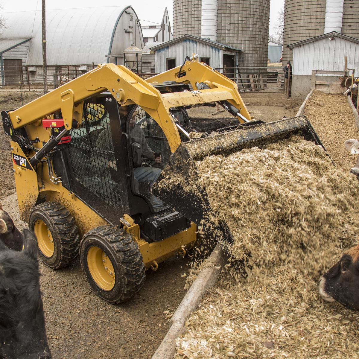 Skid steer delivering feed