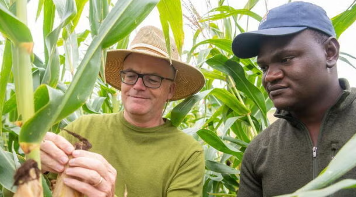 Study shows public seed banks can fast-track research