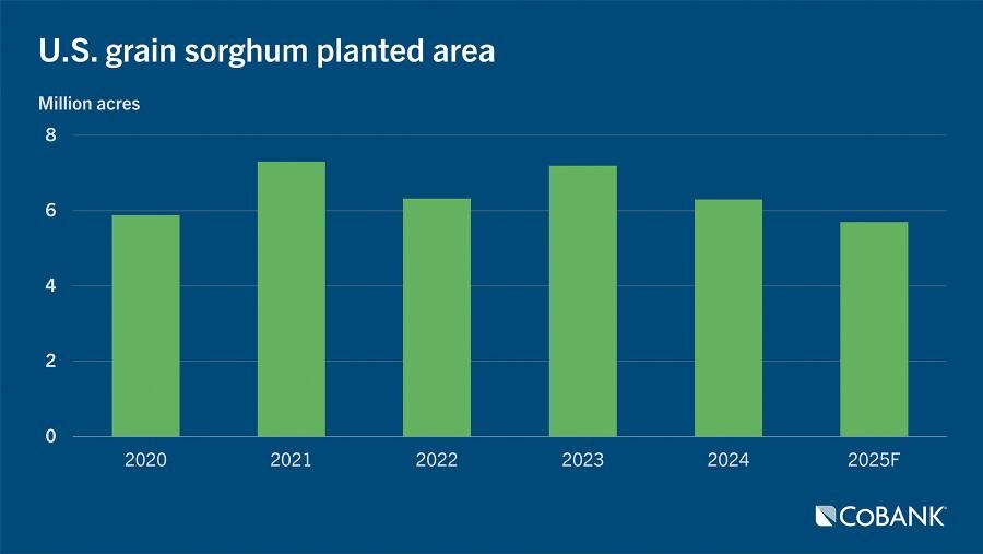 Grain sorghum acres