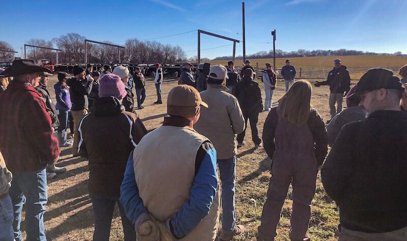 Pasture walk