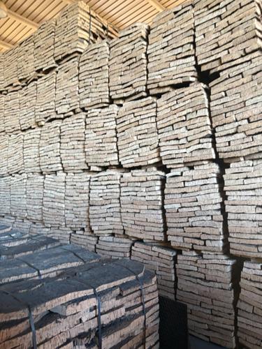 FFA International (2) worked.jpg