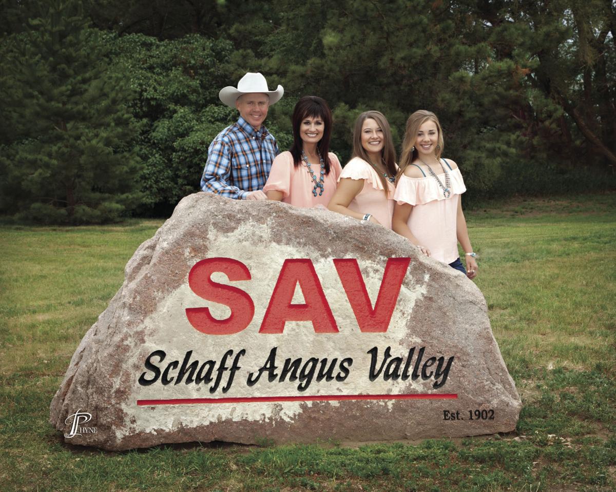 Schaff Angus Valley sets highestselling bull record Livestock