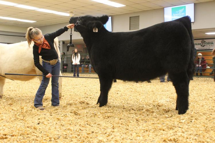 WWFS Supreme Row (66).JPG