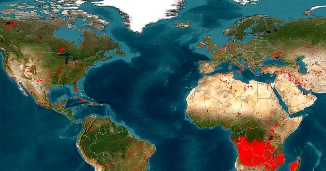 Global wildfires
