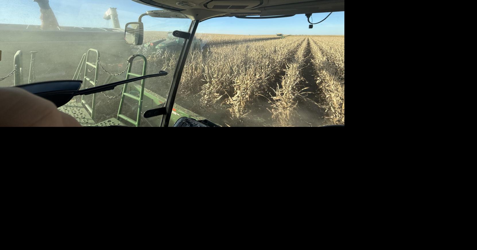 Corn harvest ramps up in central South Dakota
