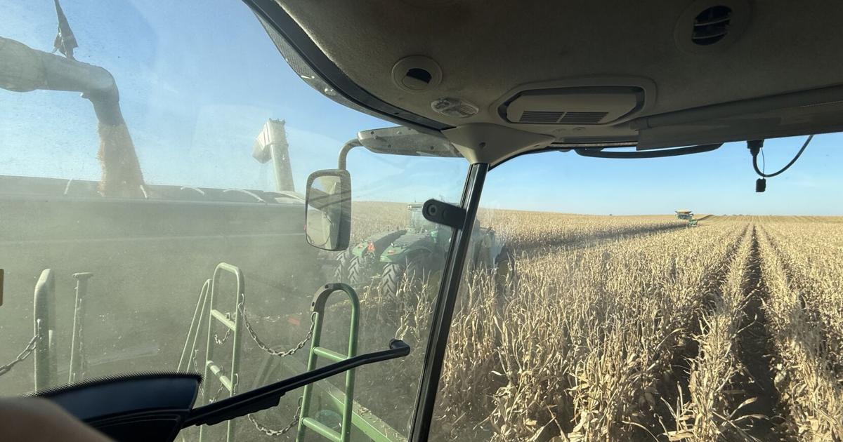 Corn harvest ramps up in central South Dakota